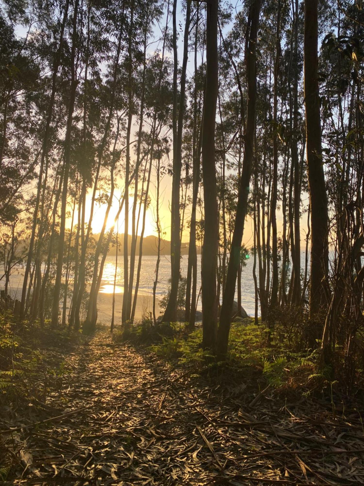 Rincon De Lagos, Bueu Pontevedra Esterno foto